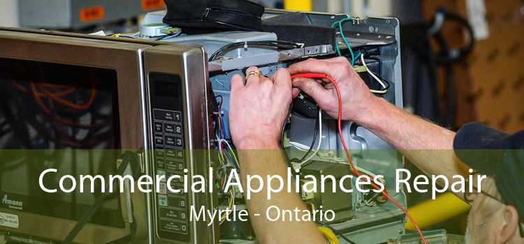 Commercial Appliances Repair Myrtle - Ontario