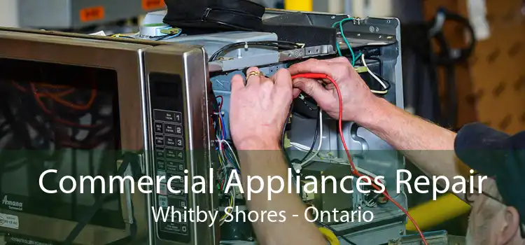 Commercial Appliances Repair Whitby Shores - Ontario