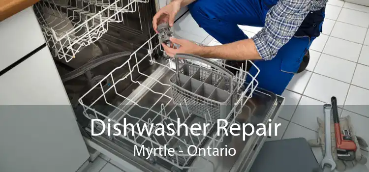 Dishwasher Repair Myrtle - Ontario