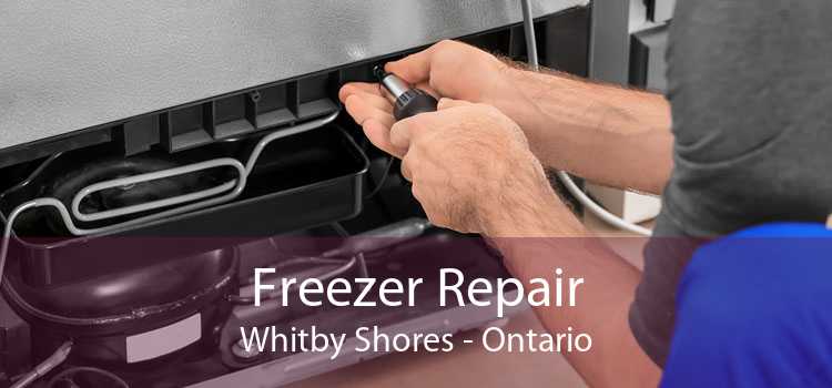 Freezer Repair Whitby Shores - Ontario
