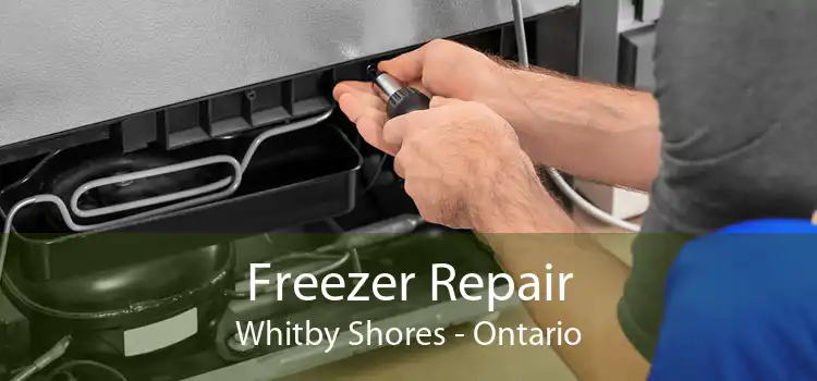 Freezer Repair Whitby Shores - Ontario