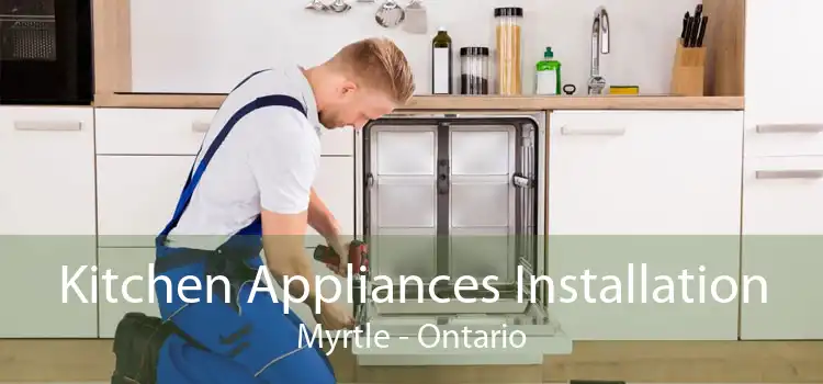 Kitchen Appliances Installation Myrtle - Ontario