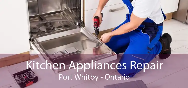 Kitchen Appliances Repair Port Whitby - Ontario