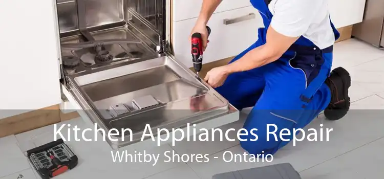 Kitchen Appliances Repair Whitby Shores - Ontario