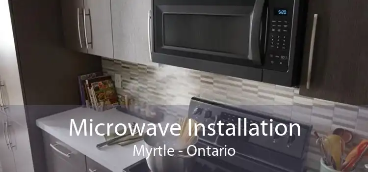 Microwave Installation Myrtle - Ontario