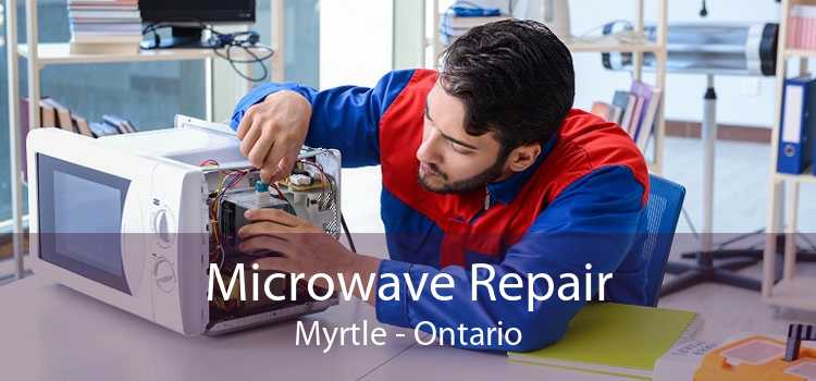 Microwave Repair Myrtle - Ontario