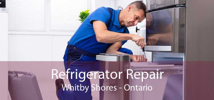 Refrigerator Repair Whitby Shores - Ontario